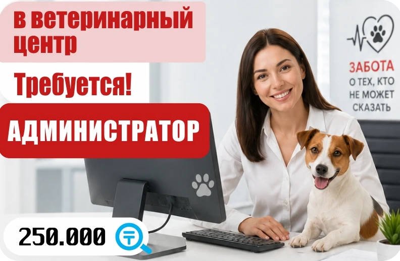 Баннер