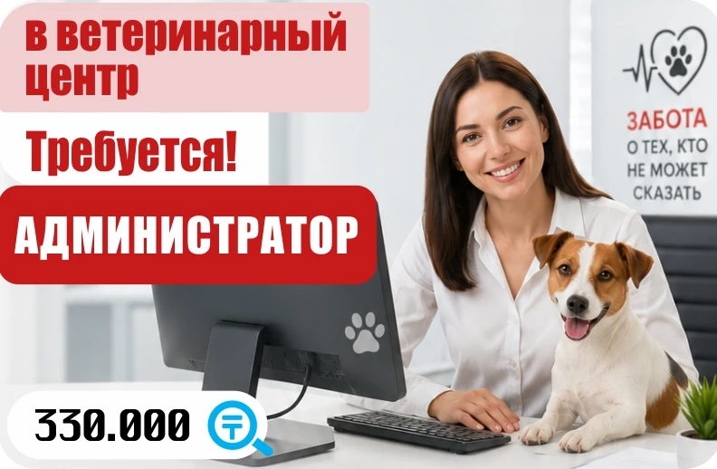 Баннер