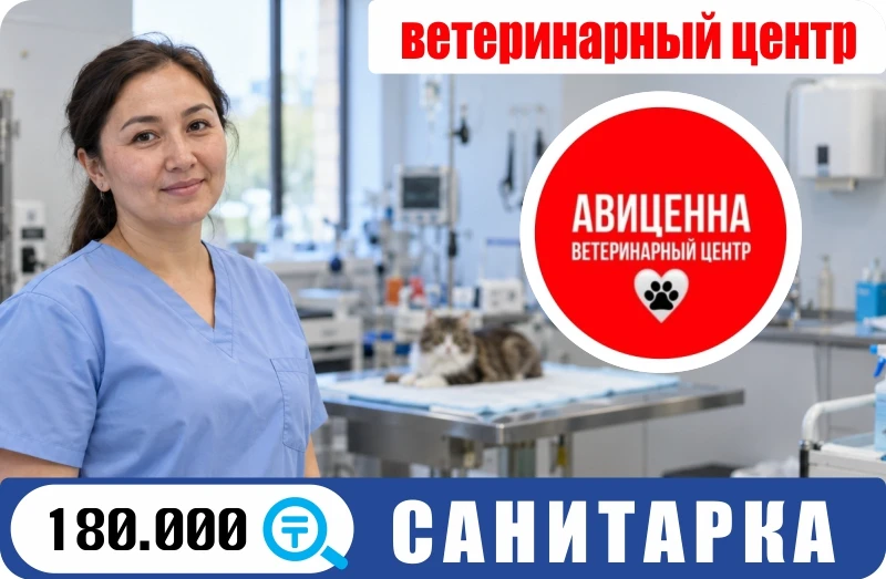Баннер